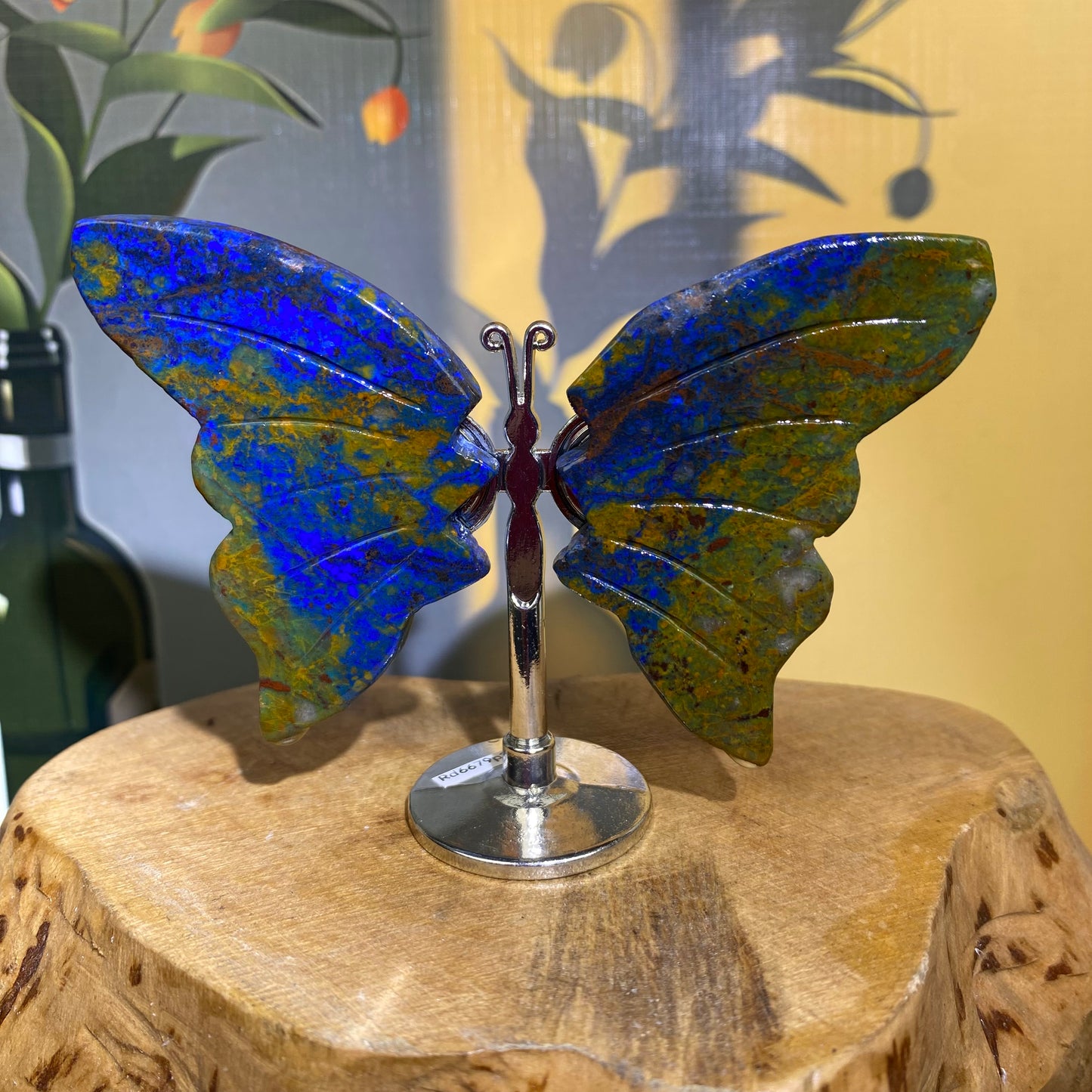 Mini Butterfly