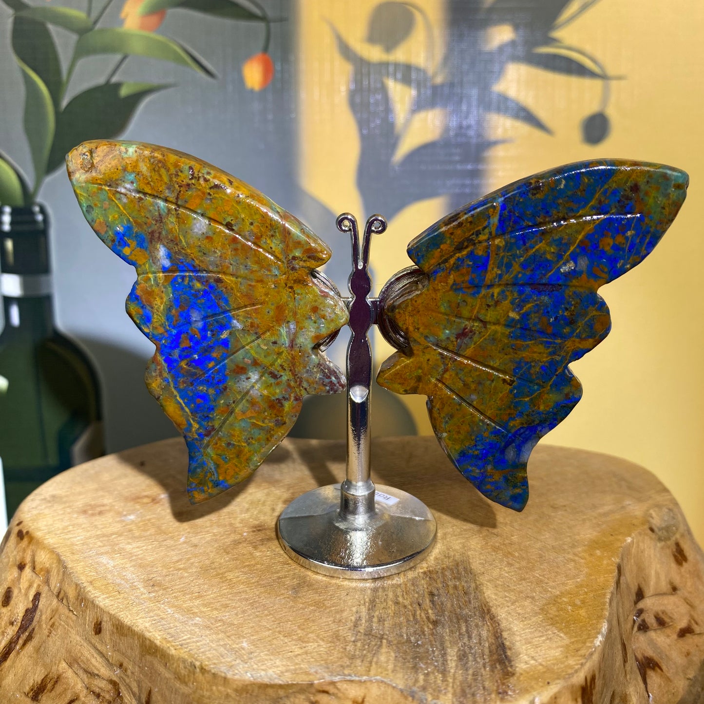 Mini Butterfly