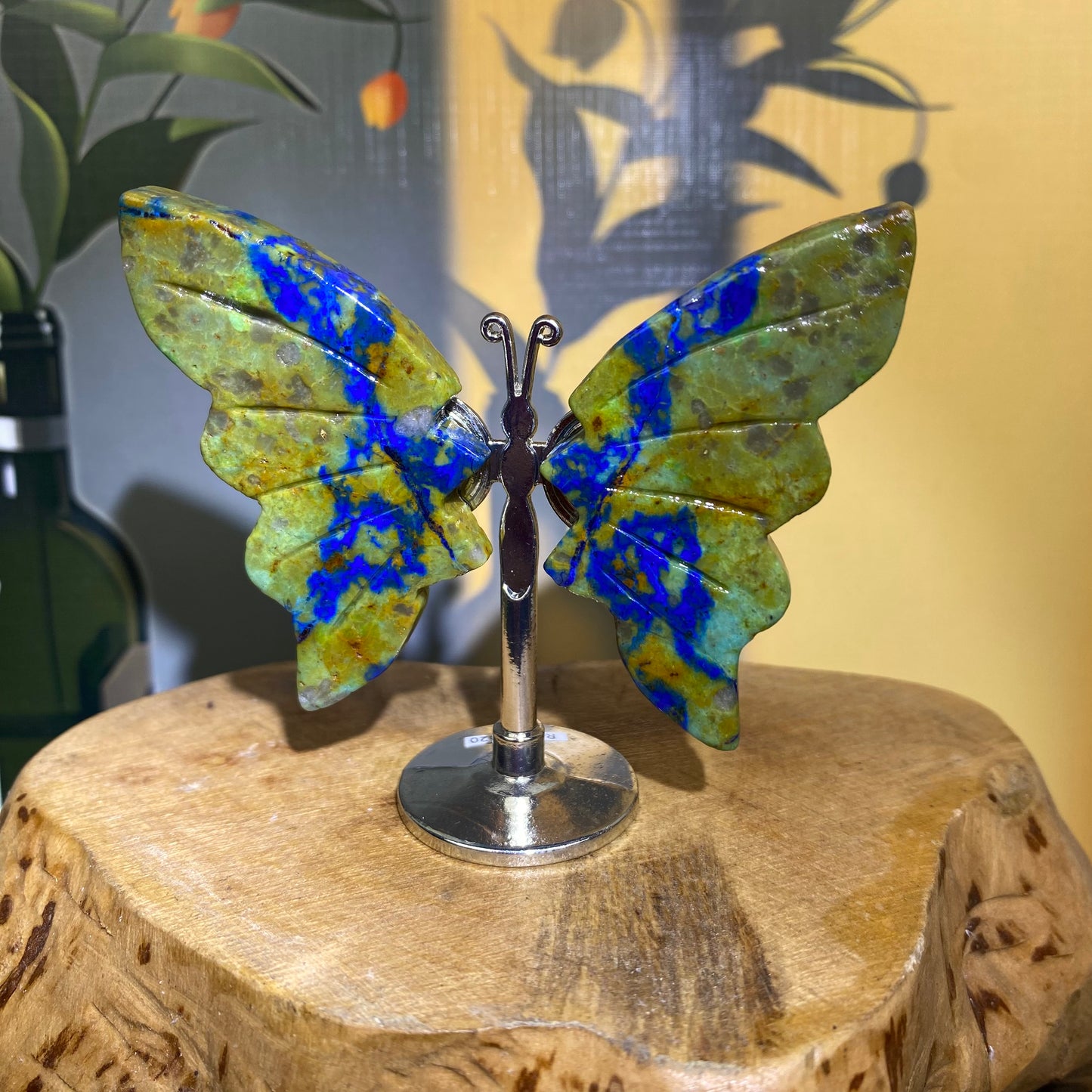 Mini Butterfly