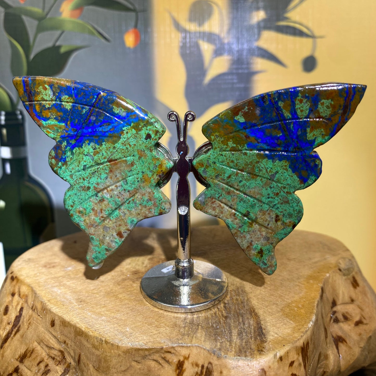 Mini Butterfly