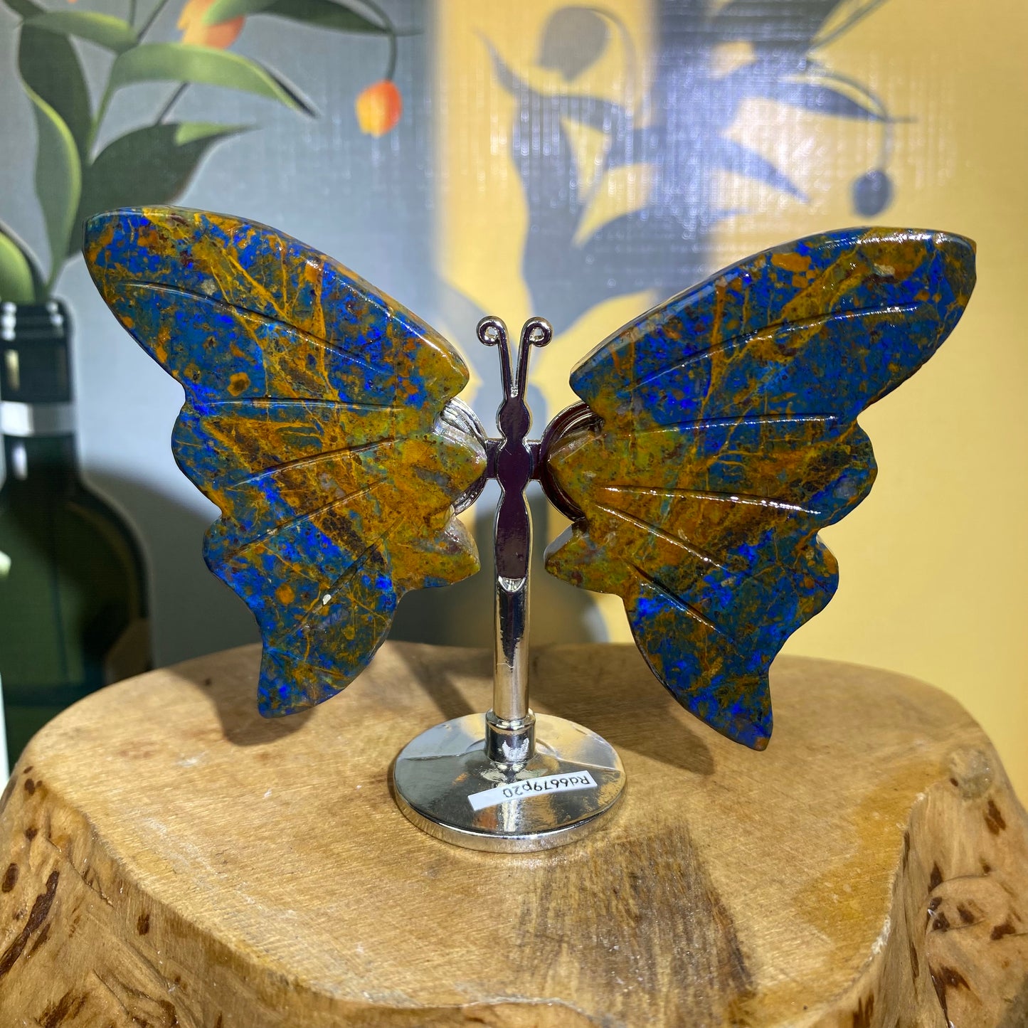 Mini Butterfly