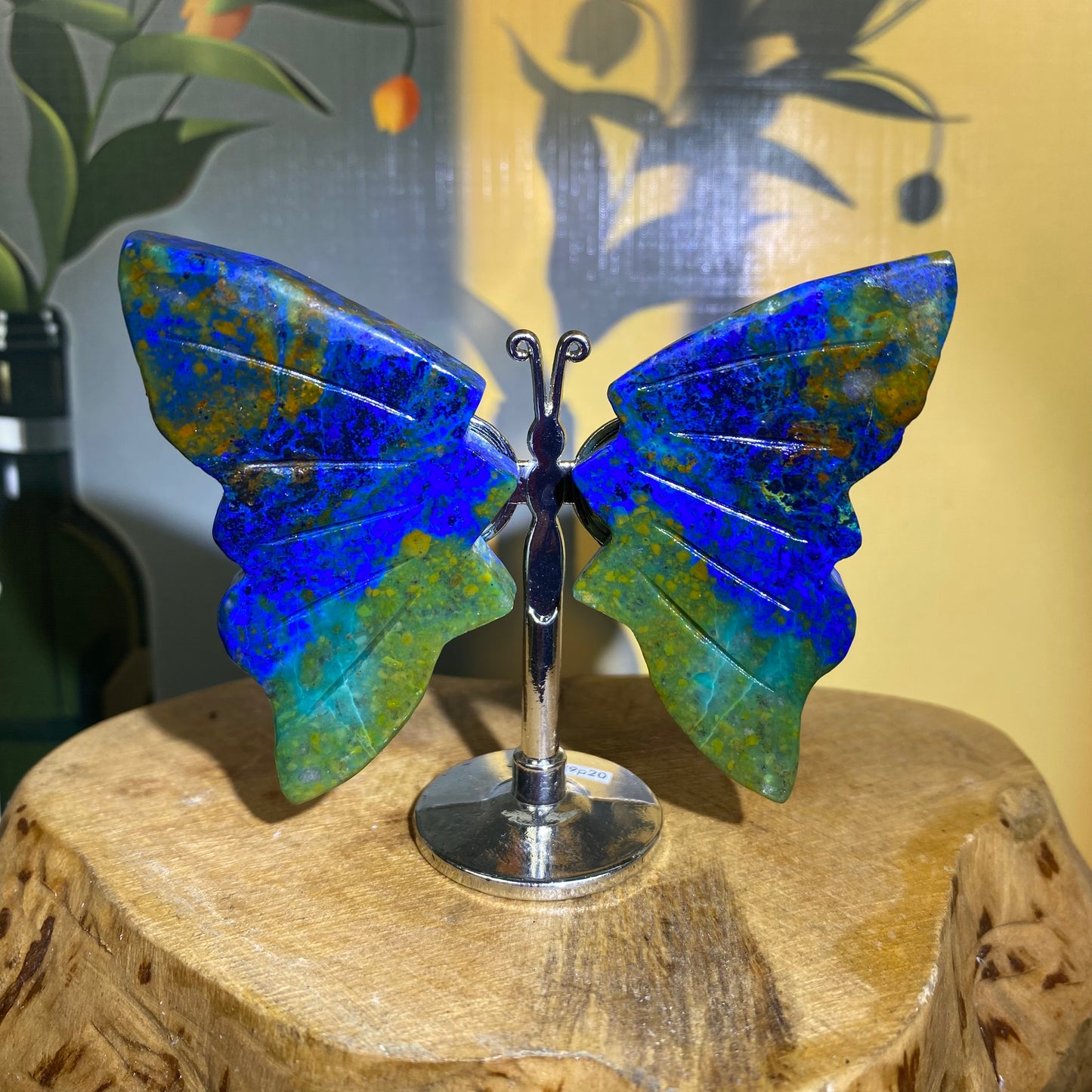 Mini Butterfly