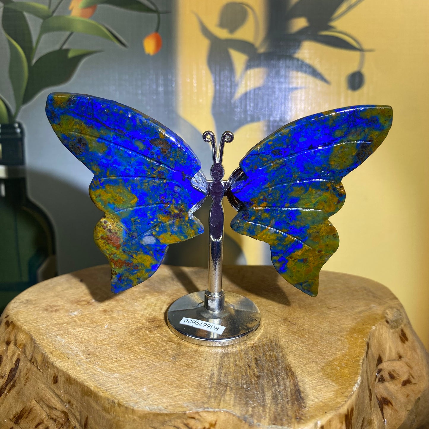 Mini Butterfly