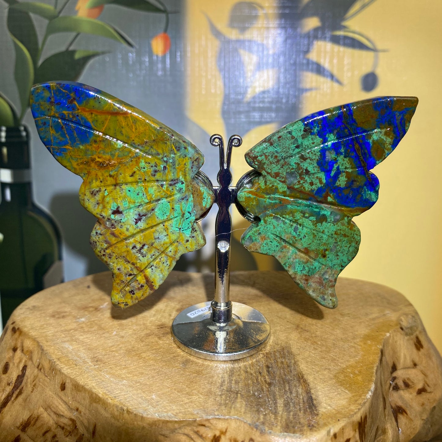 Mini Butterfly