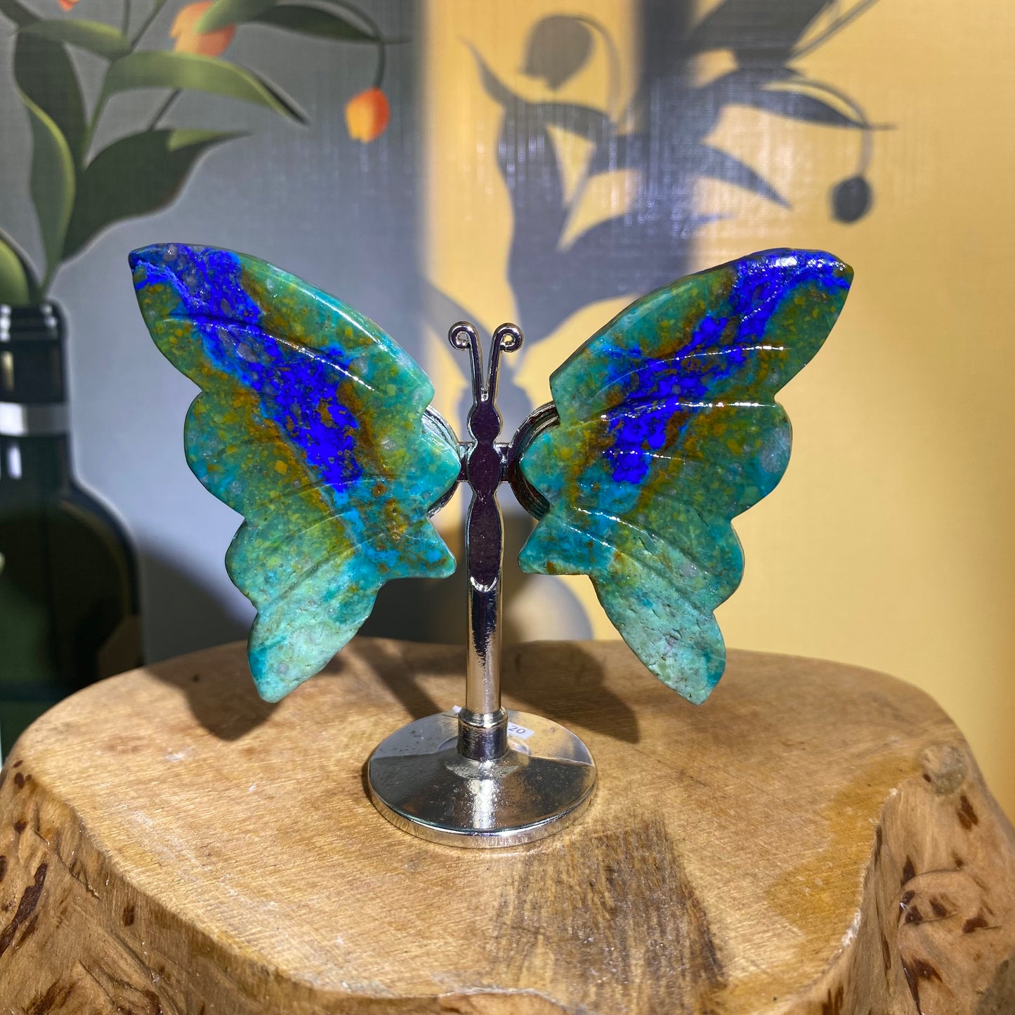 Mini Butterfly