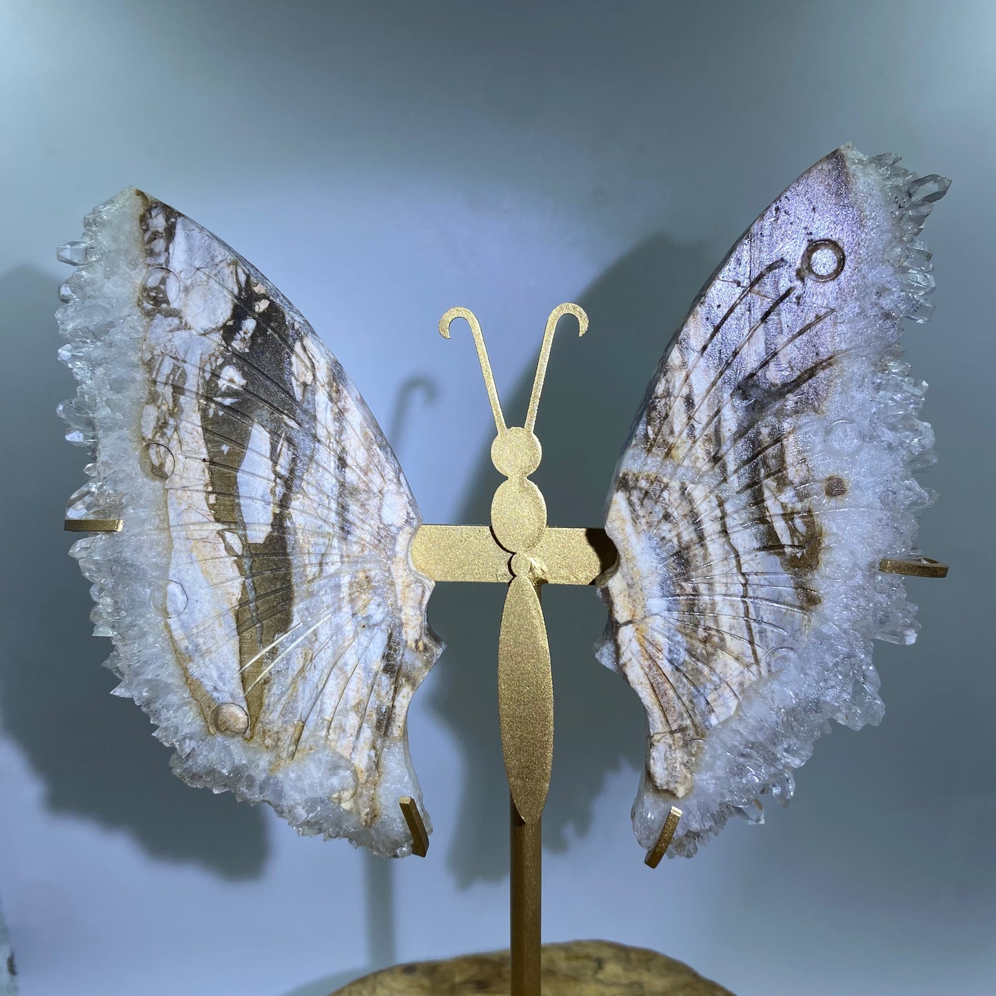 Cluster Butterfly1