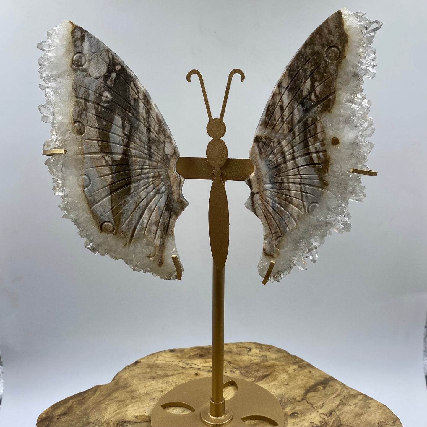 Cluster Butterfly3