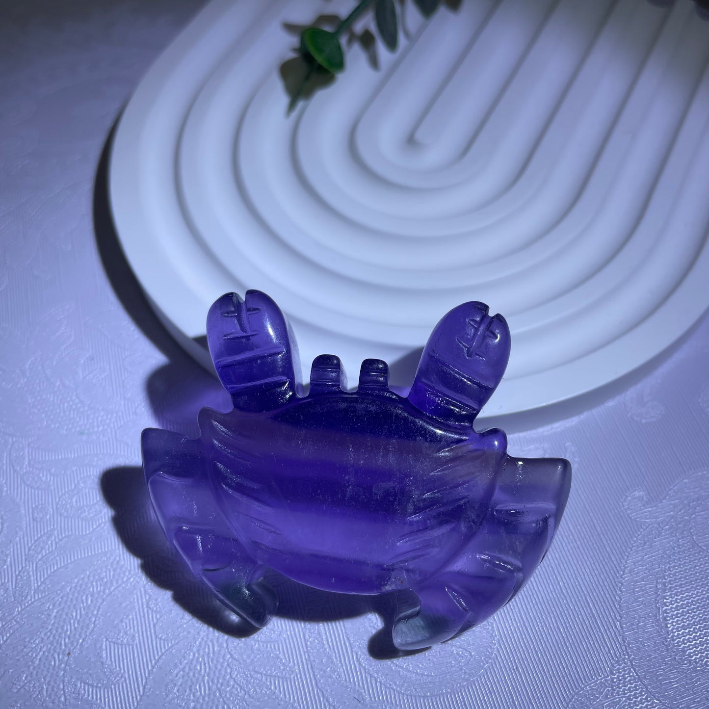 Fluorite Crab