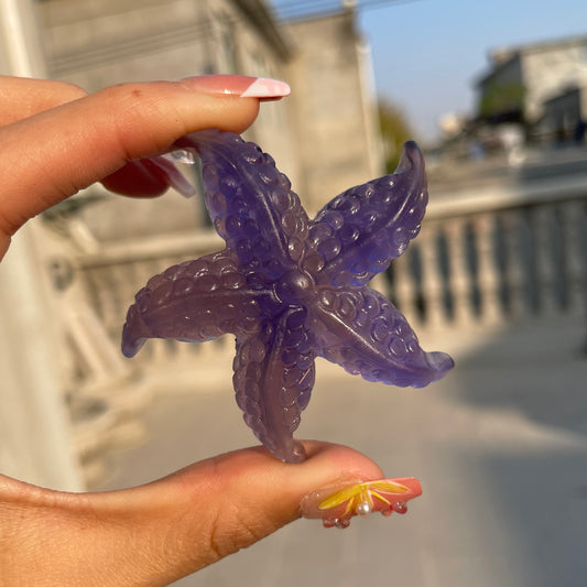 Fluorite Starfish