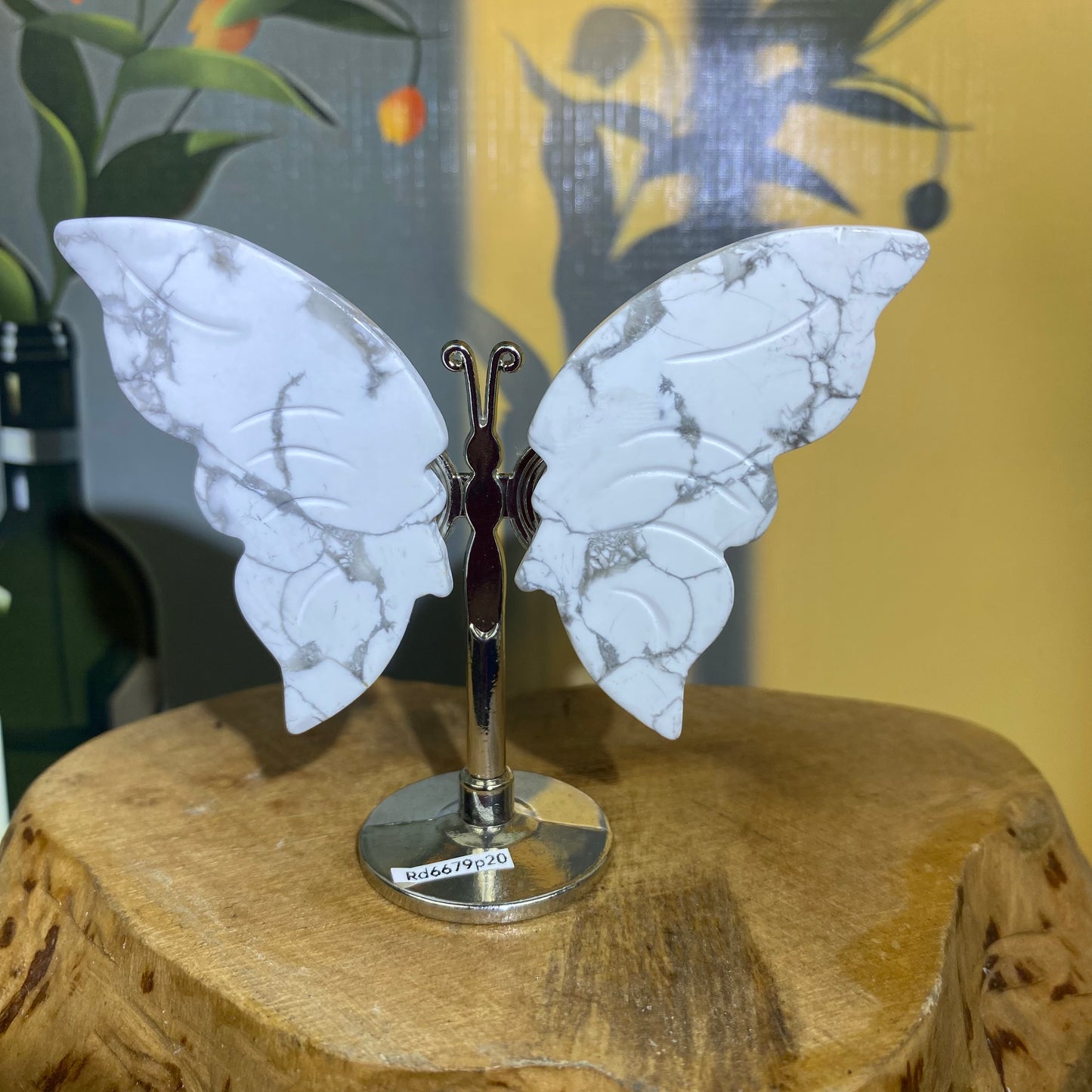 Mini Butterfly