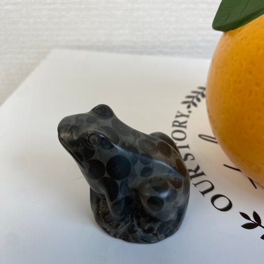 Dalmatian Frog