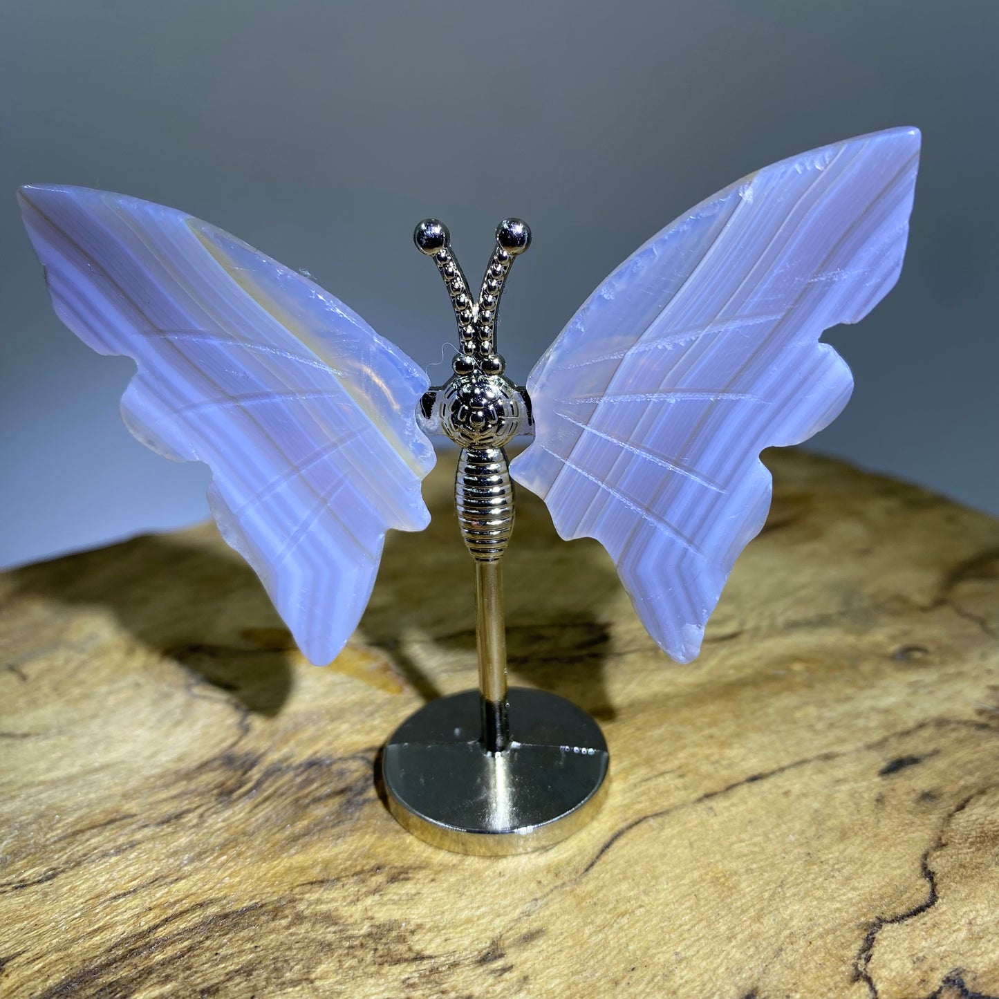 Mini Butterfly