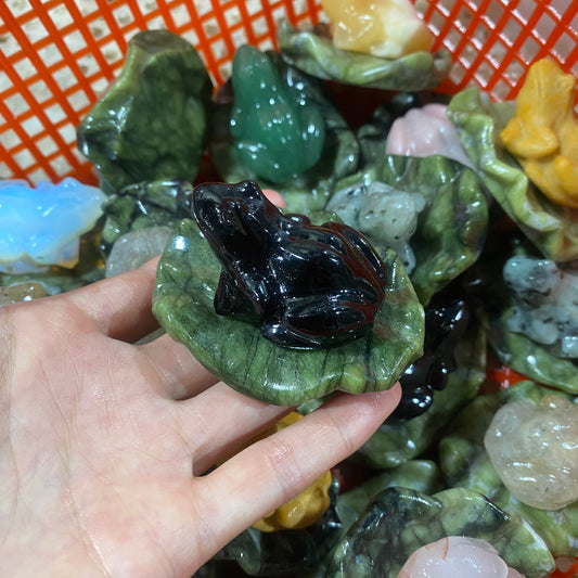 Lotus Leaf Frog
