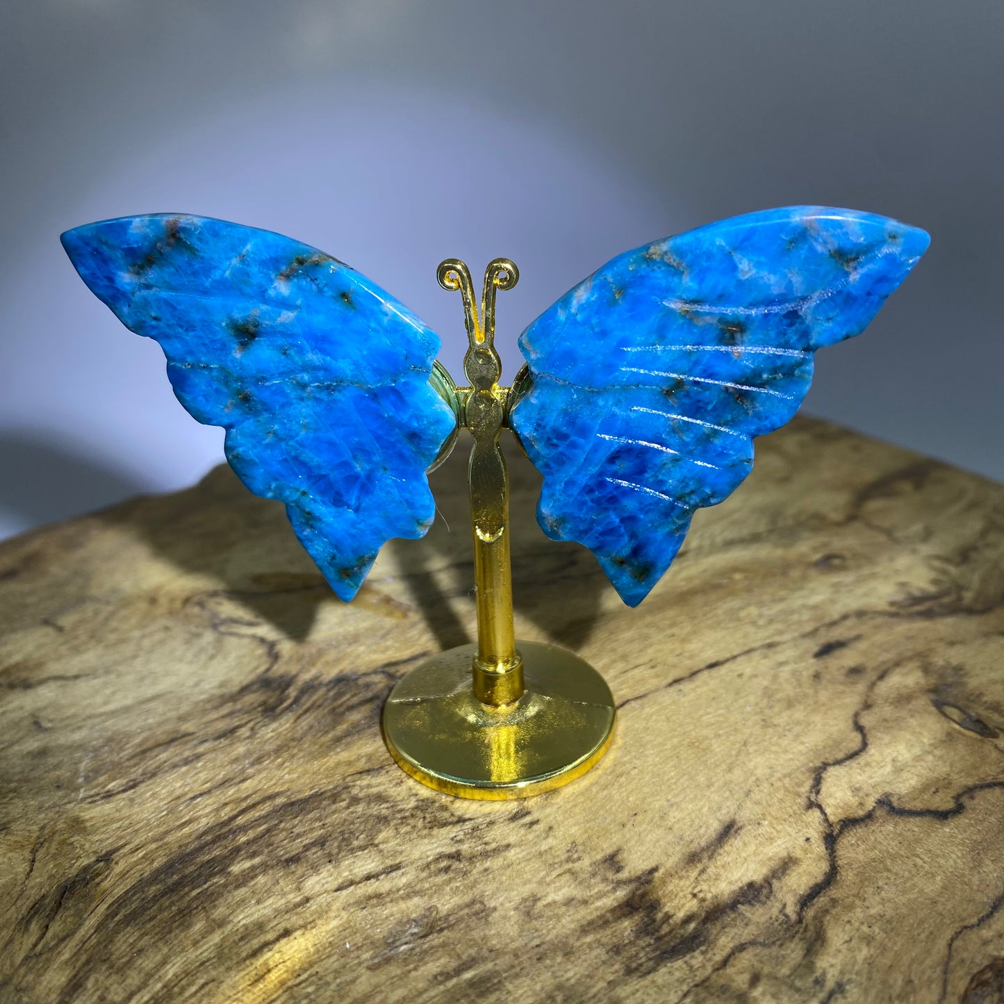 Mini Butterfly