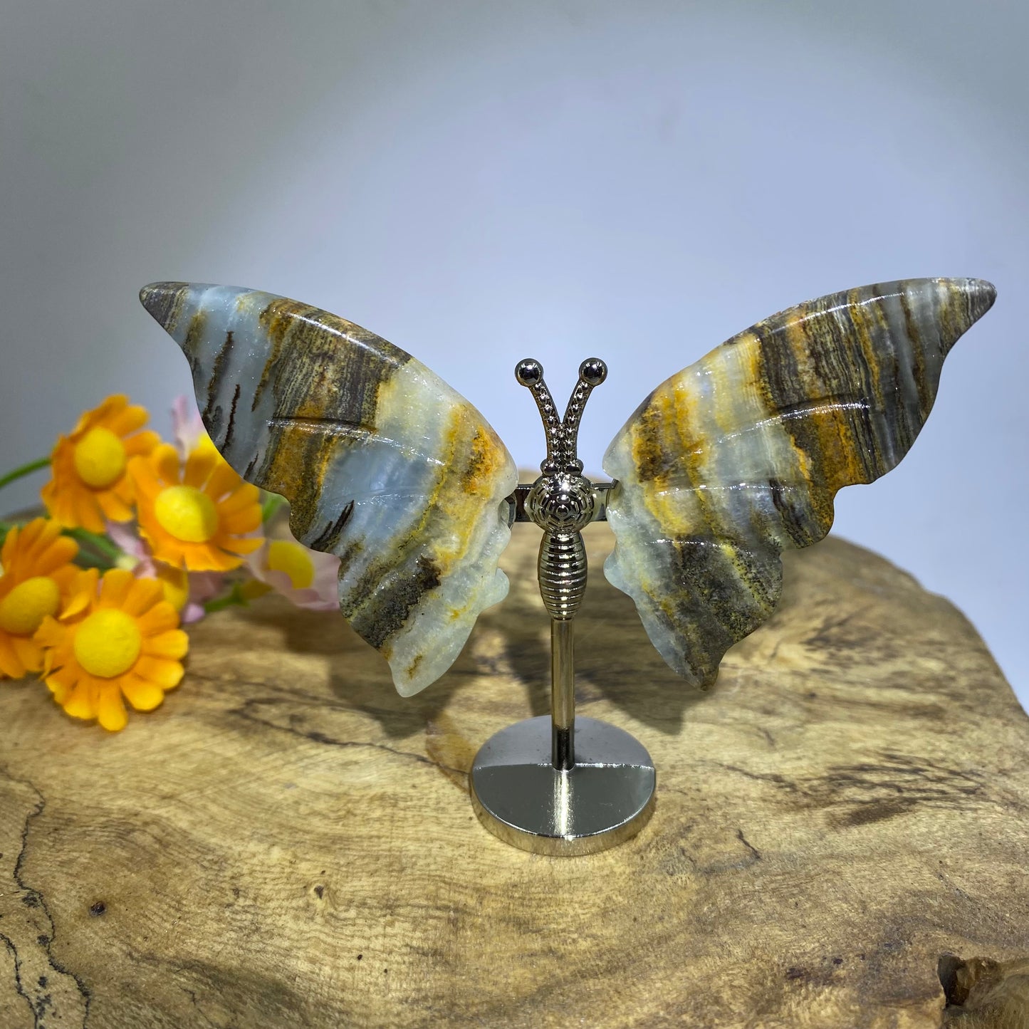 Blue Onyx Butterfly