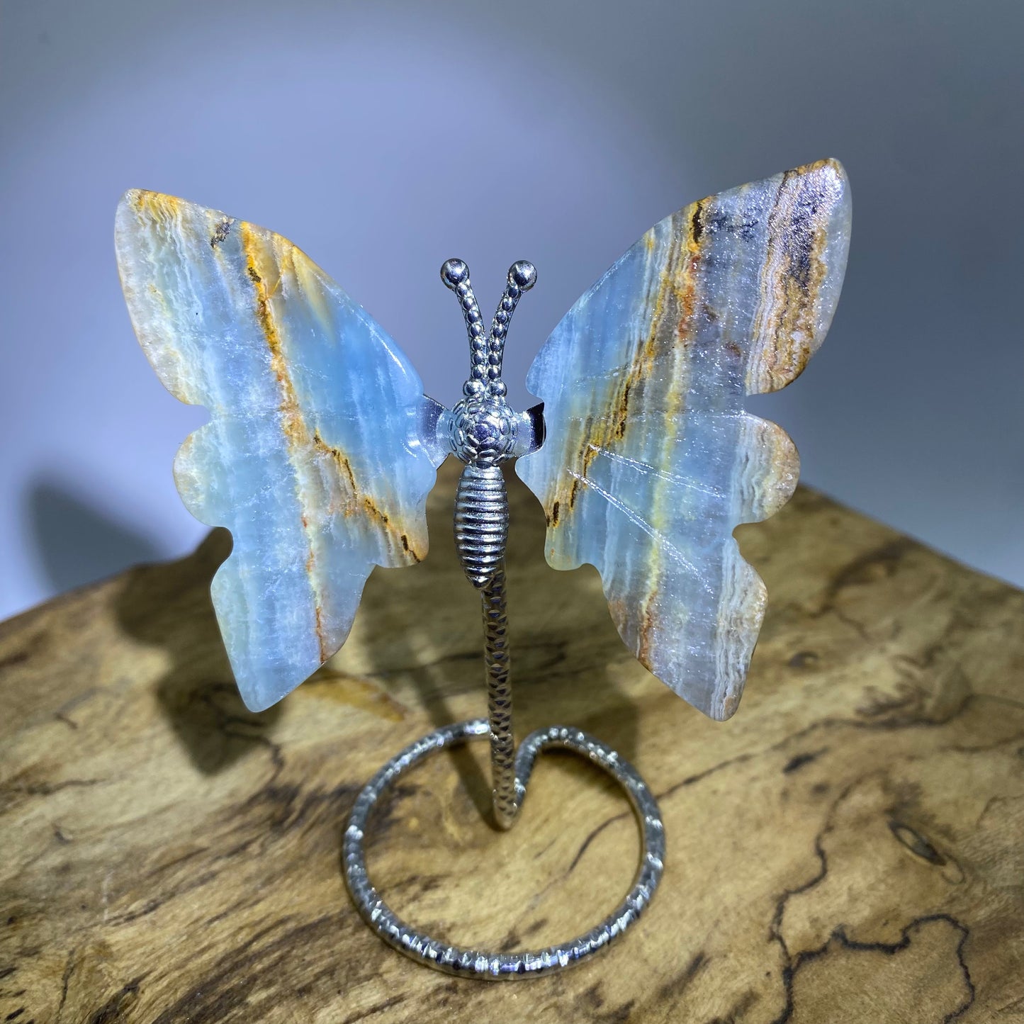 Mini Butterfly