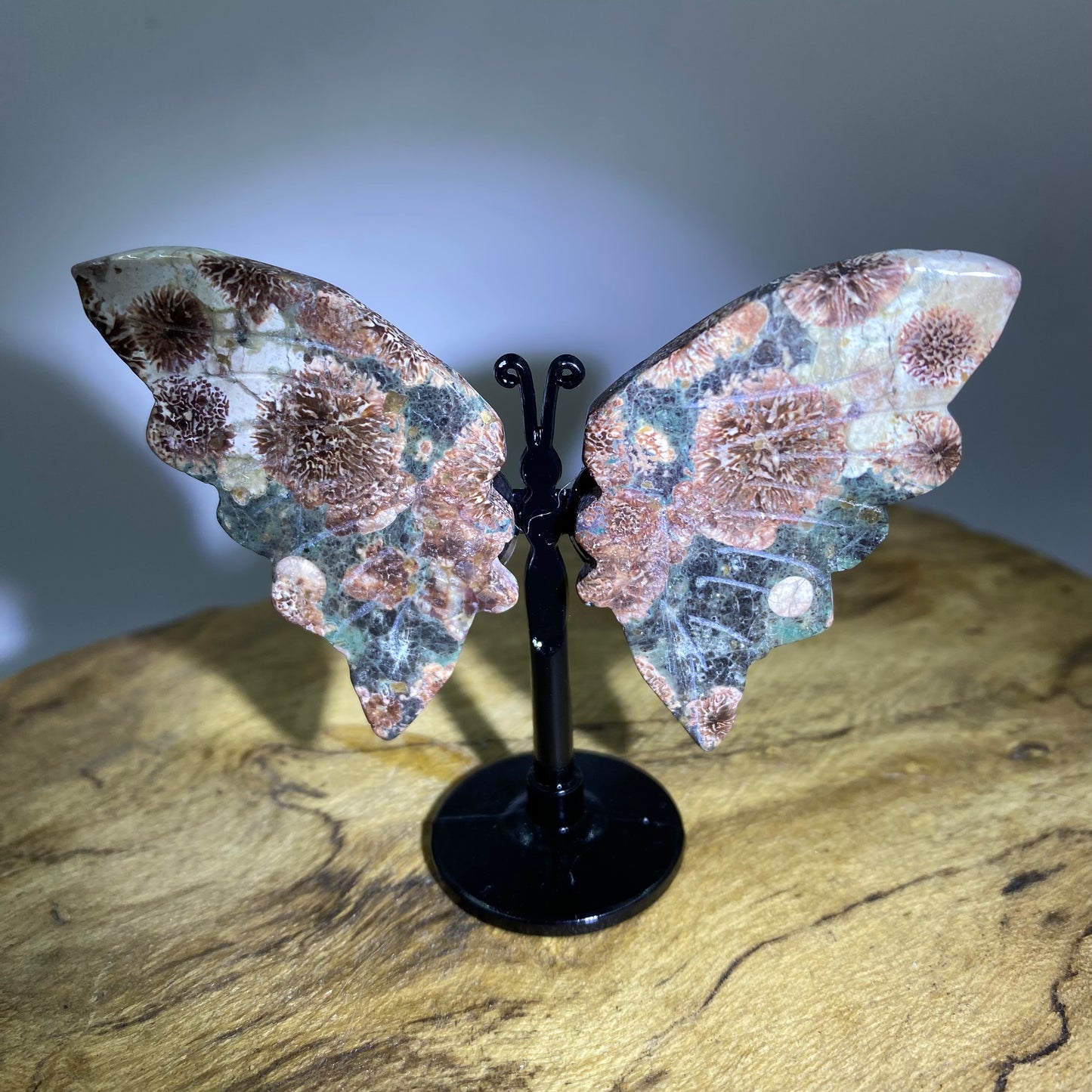 Mini Butterfly