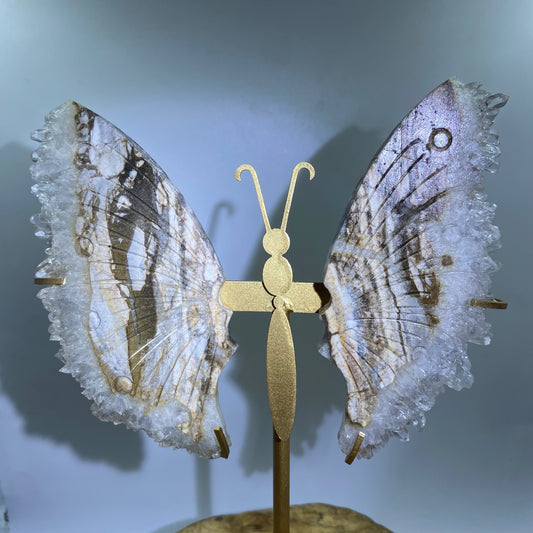 Cluster Butterfly1