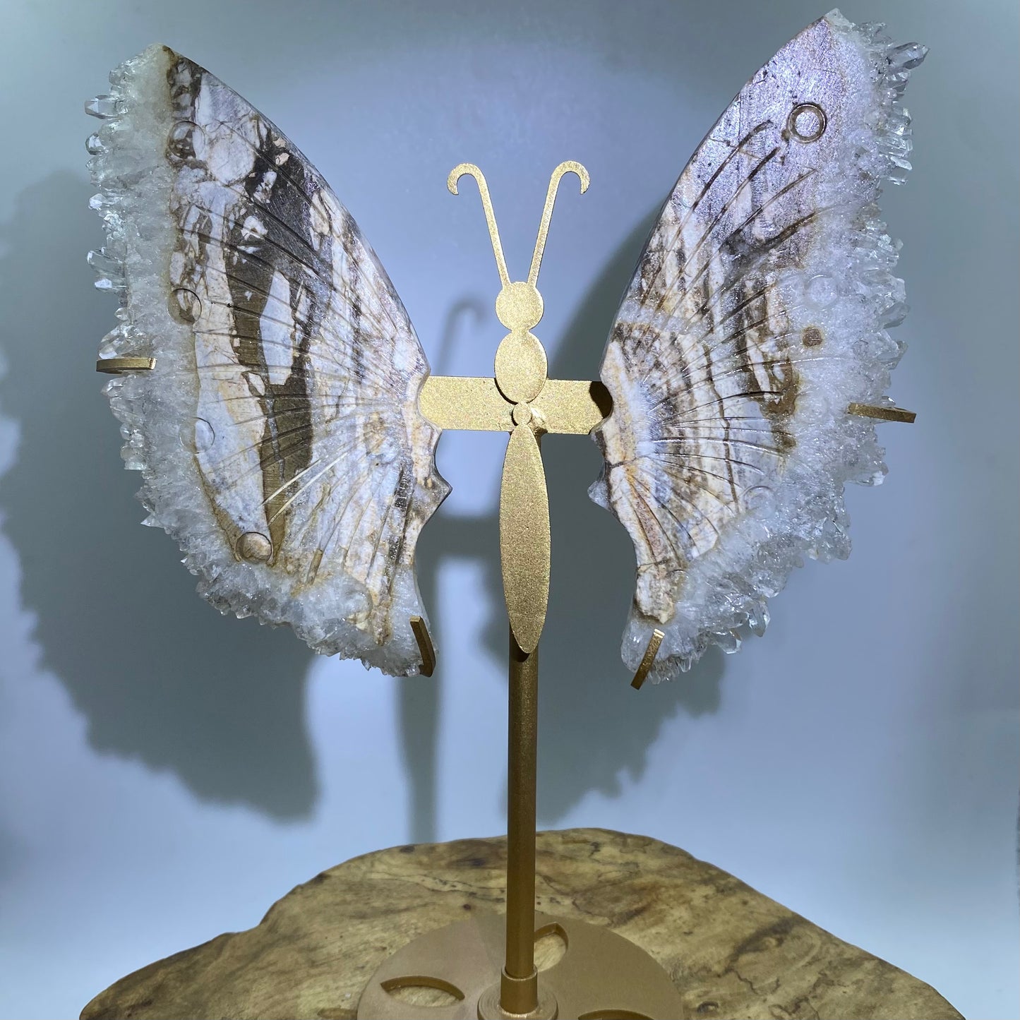 Cluster Butterfly2