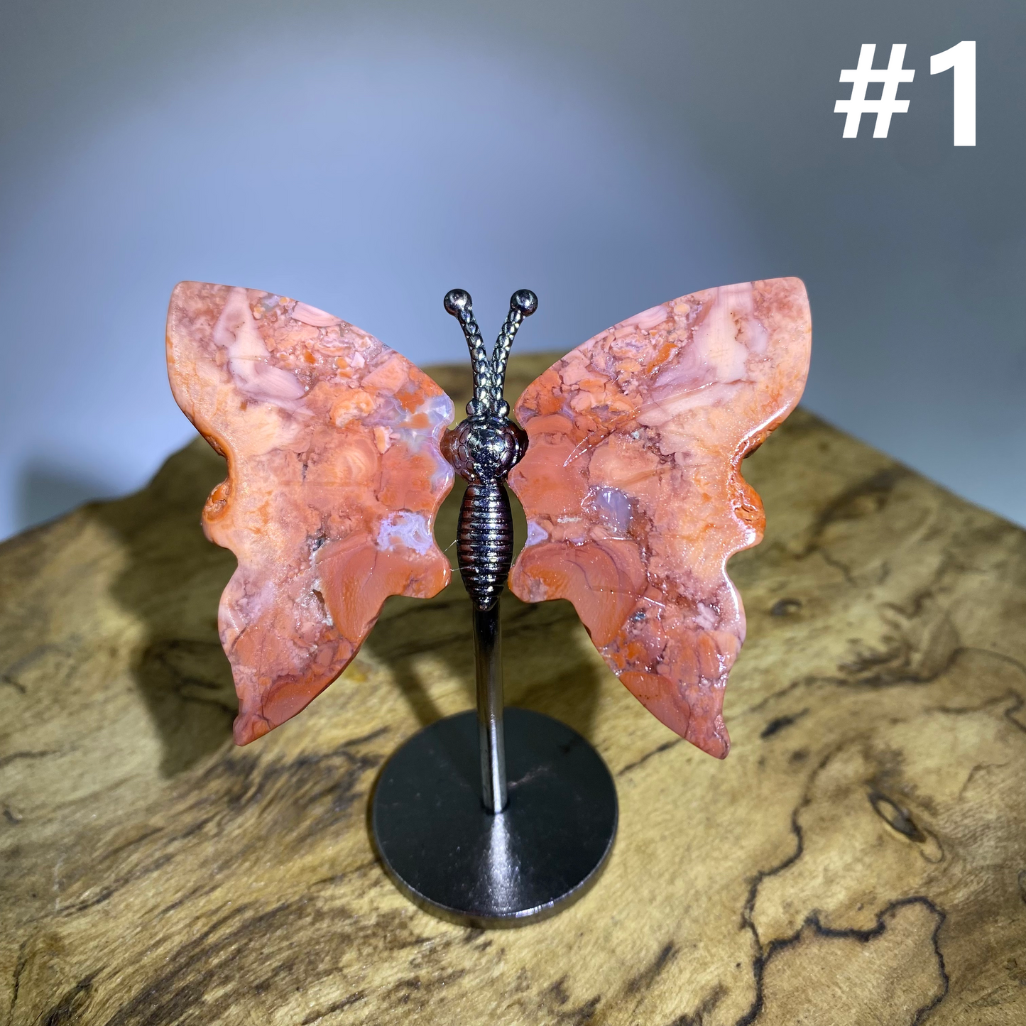 Mini Butterfly