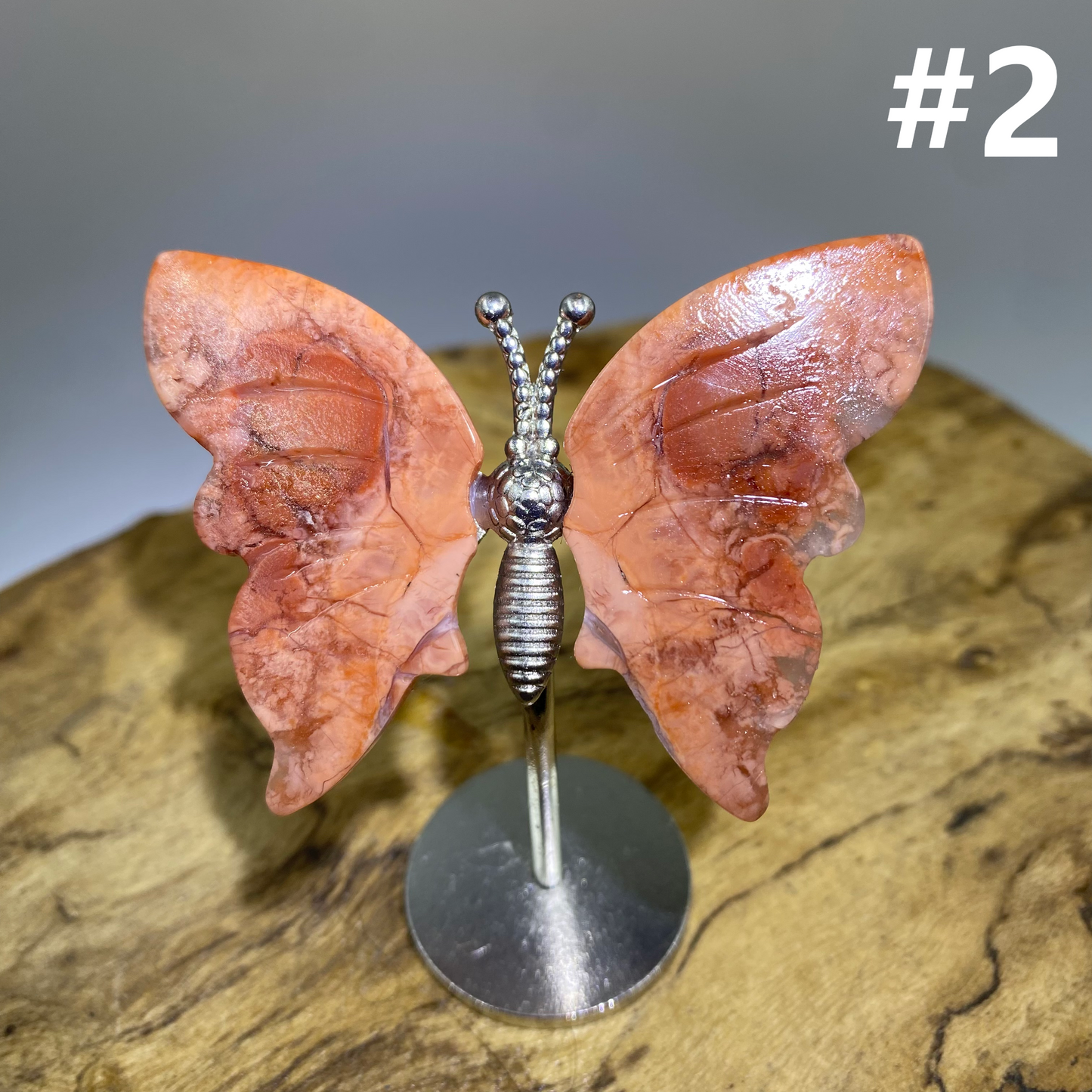 Mini Butterfly