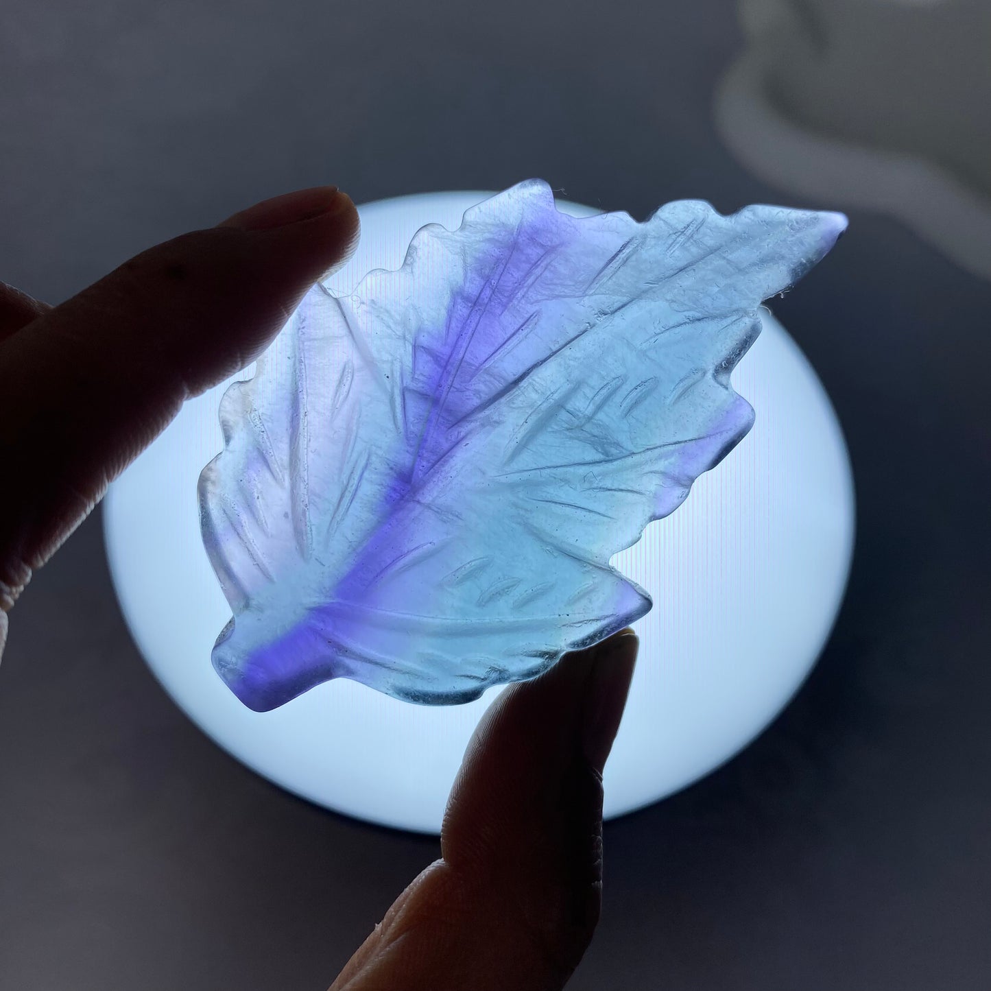 Fluorite Leaf