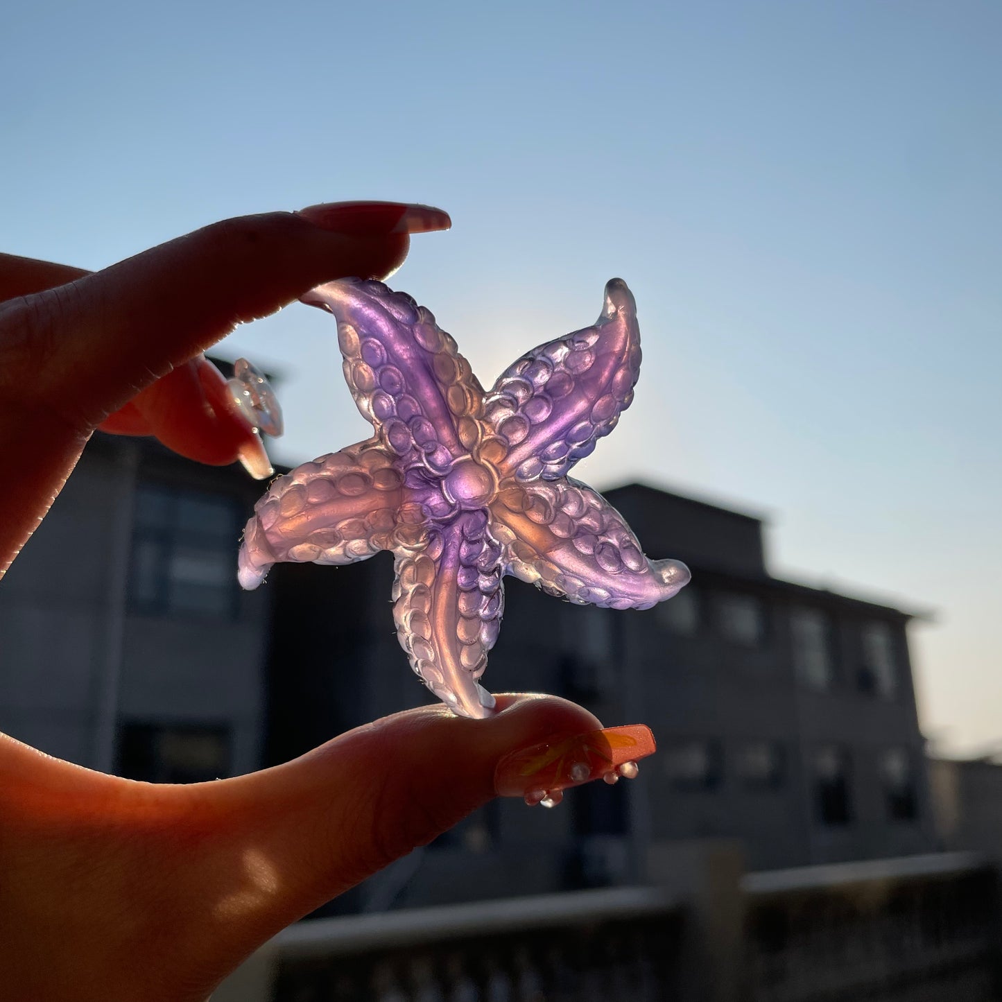Fluorite Starfish