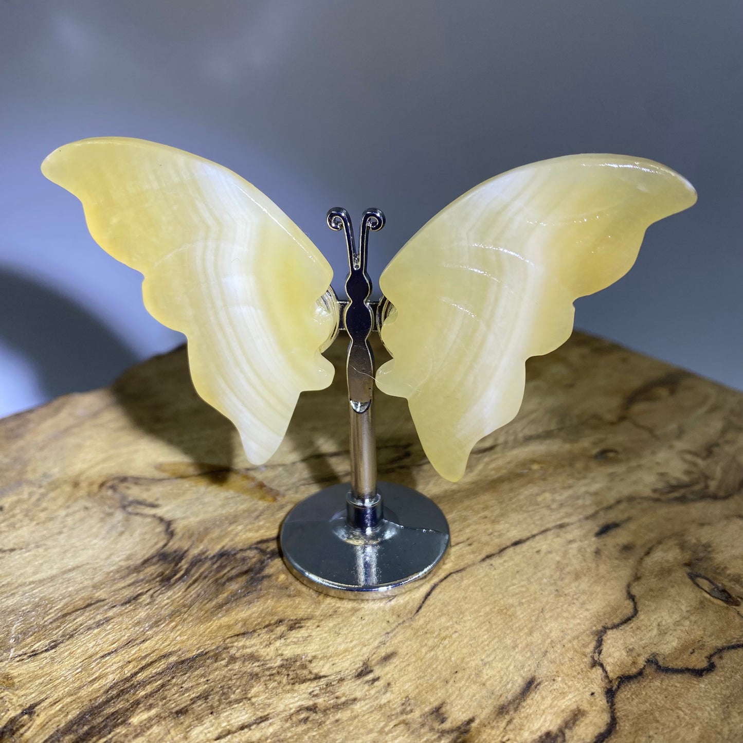 Mini Butterfly