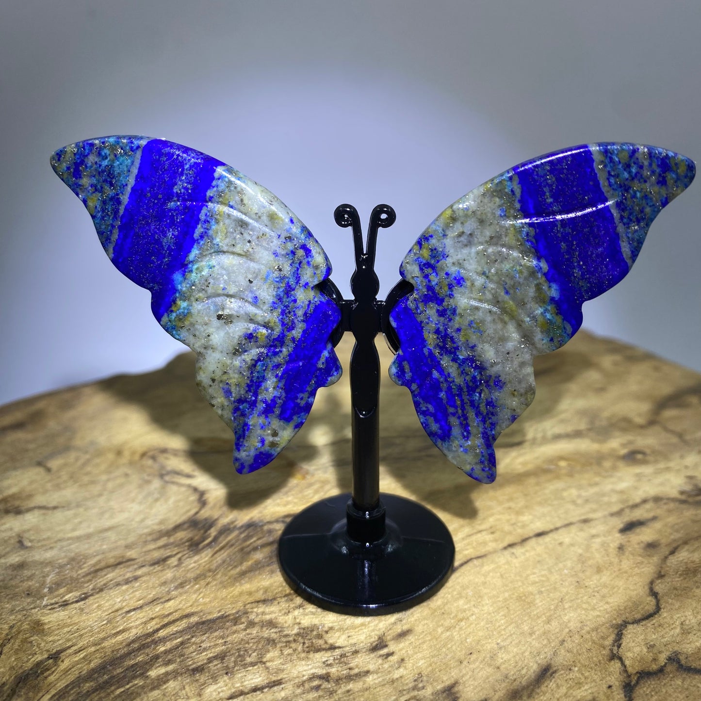 Mini Butterfly