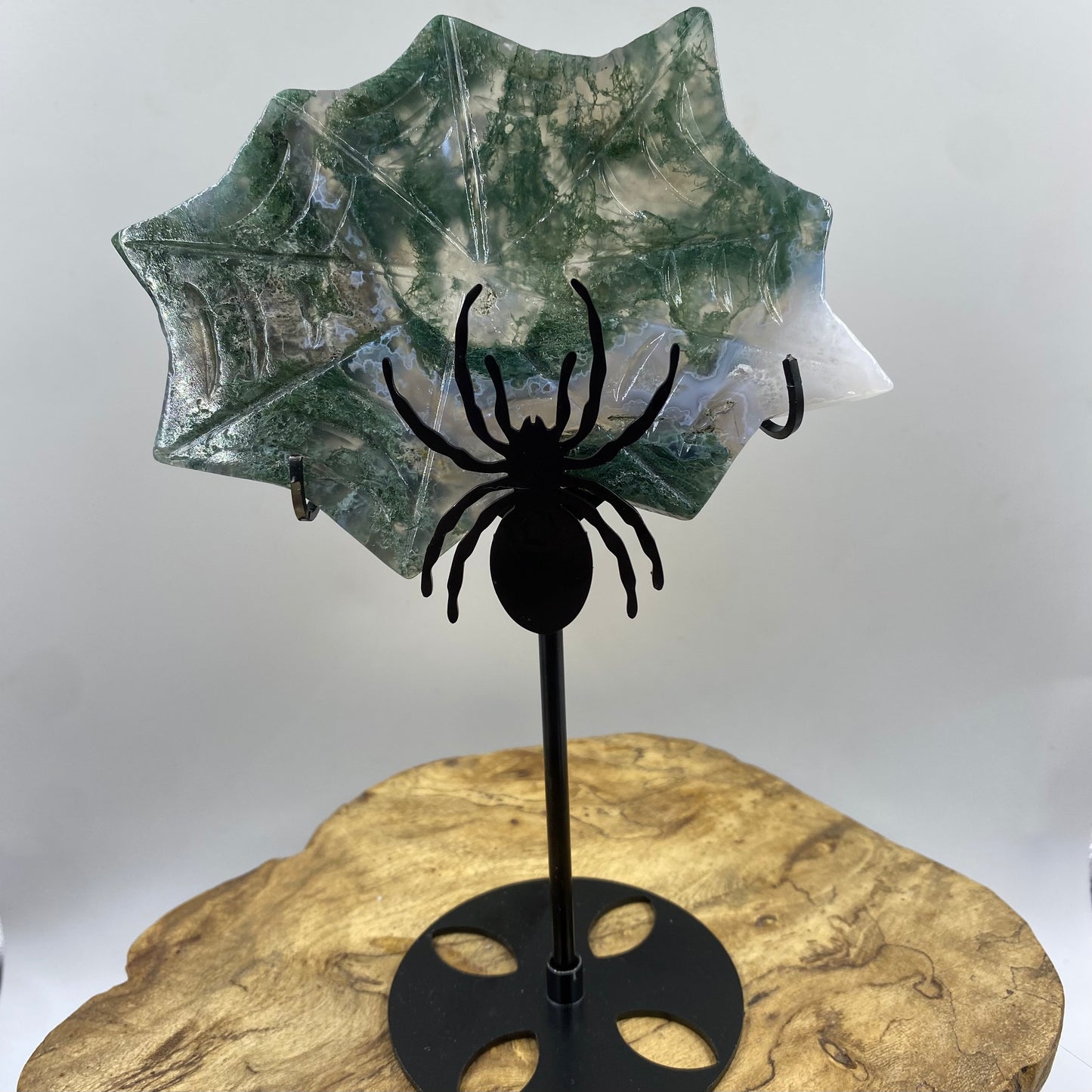 Spider web