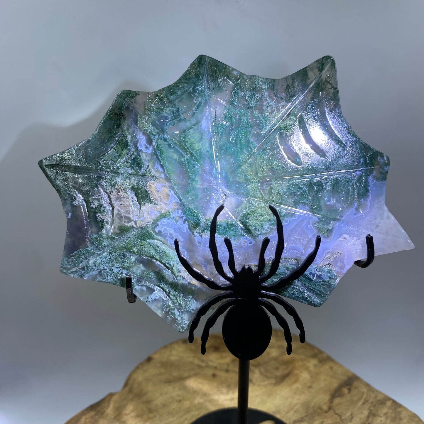 Spider web