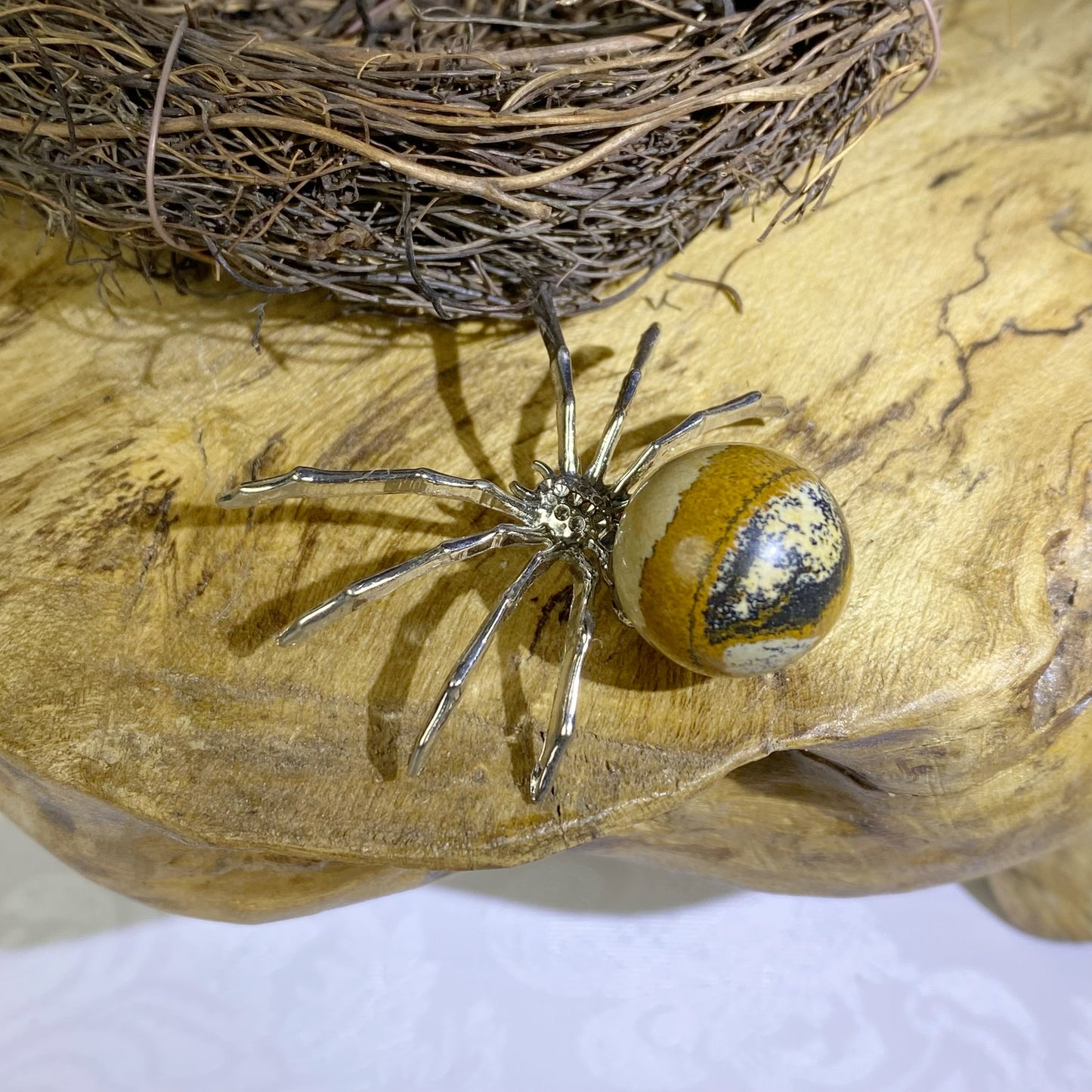 Picture_Jasper Spider