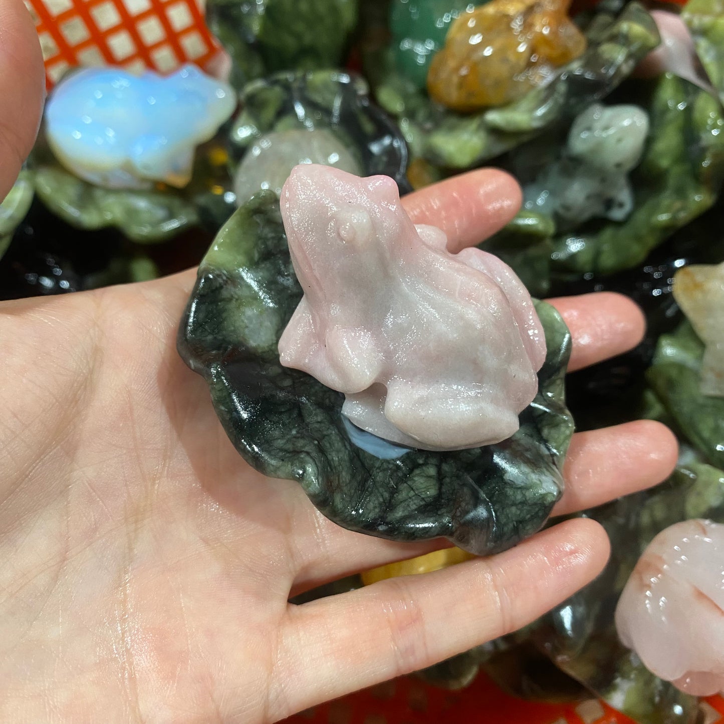 Lotus Leaf Frog