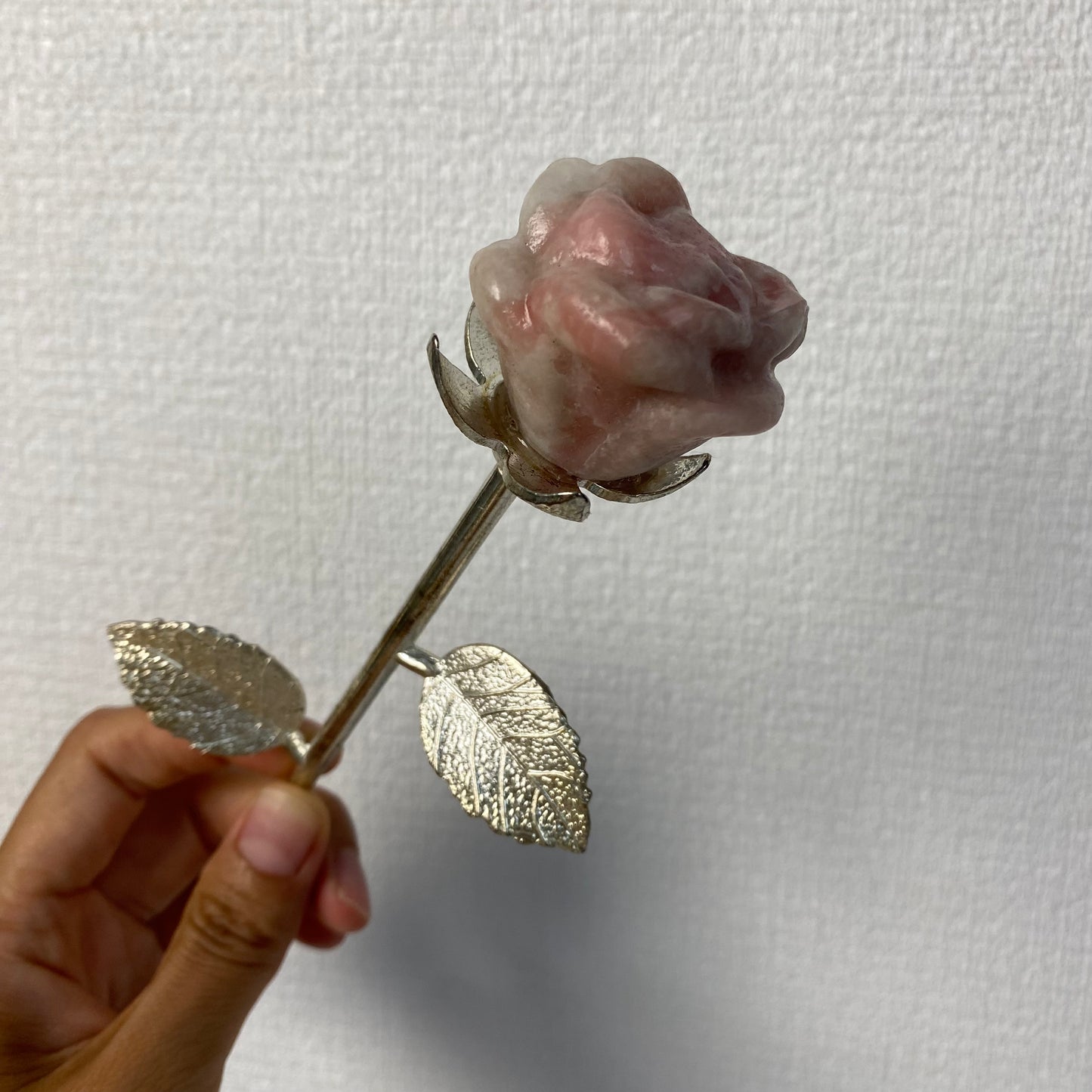 Pink Opal Rose