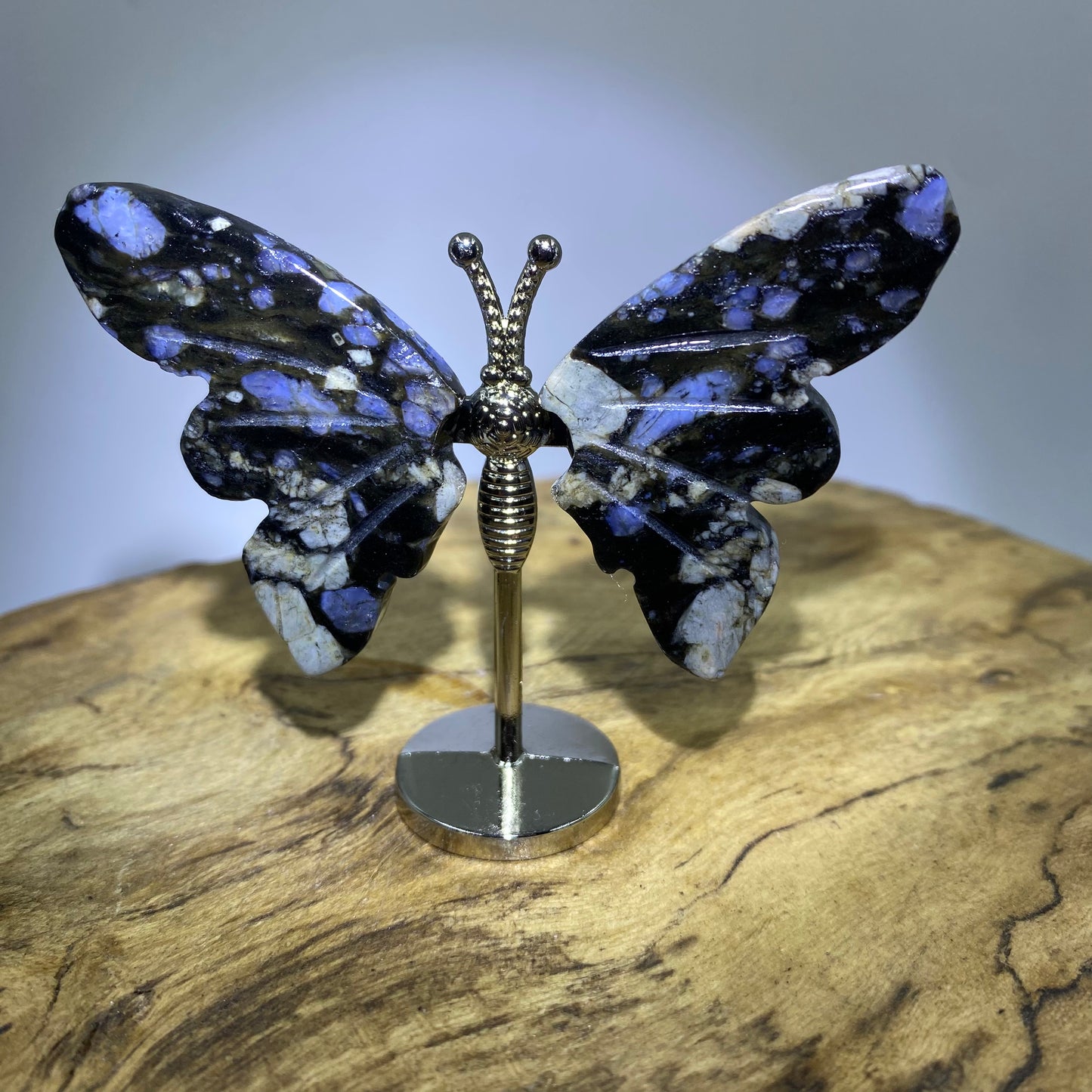 Mini Butterfly