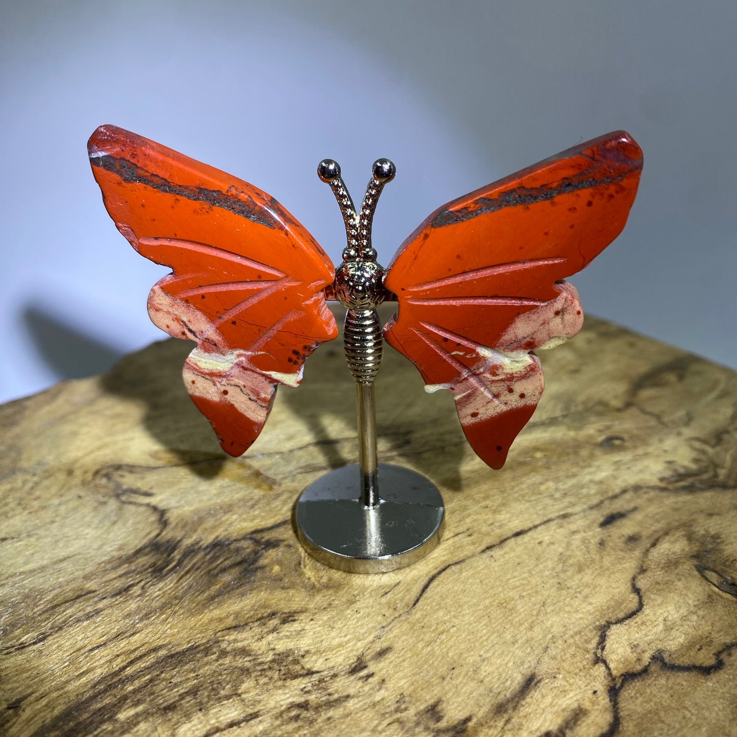 Mini Butterfly
