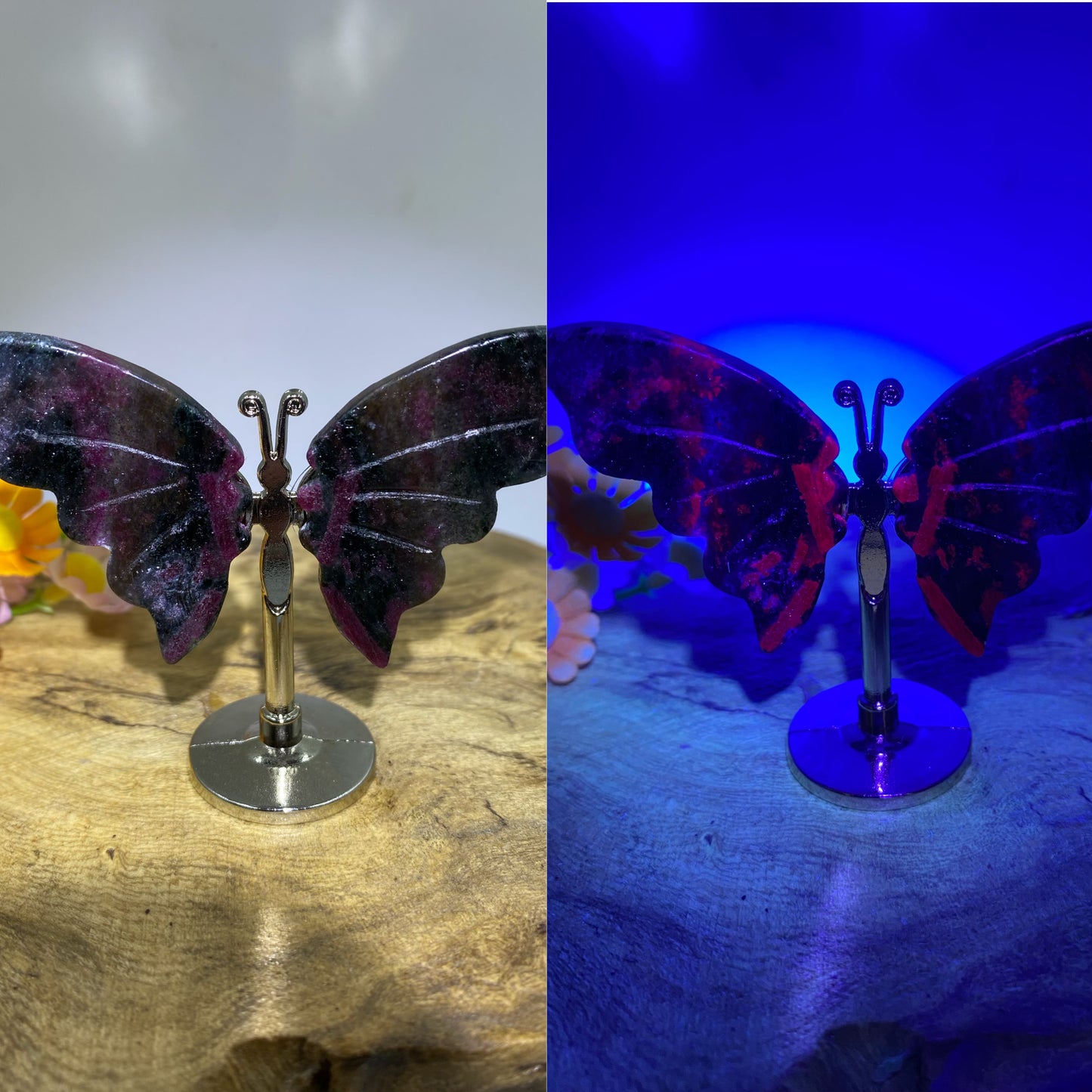 Ruby Butterfly