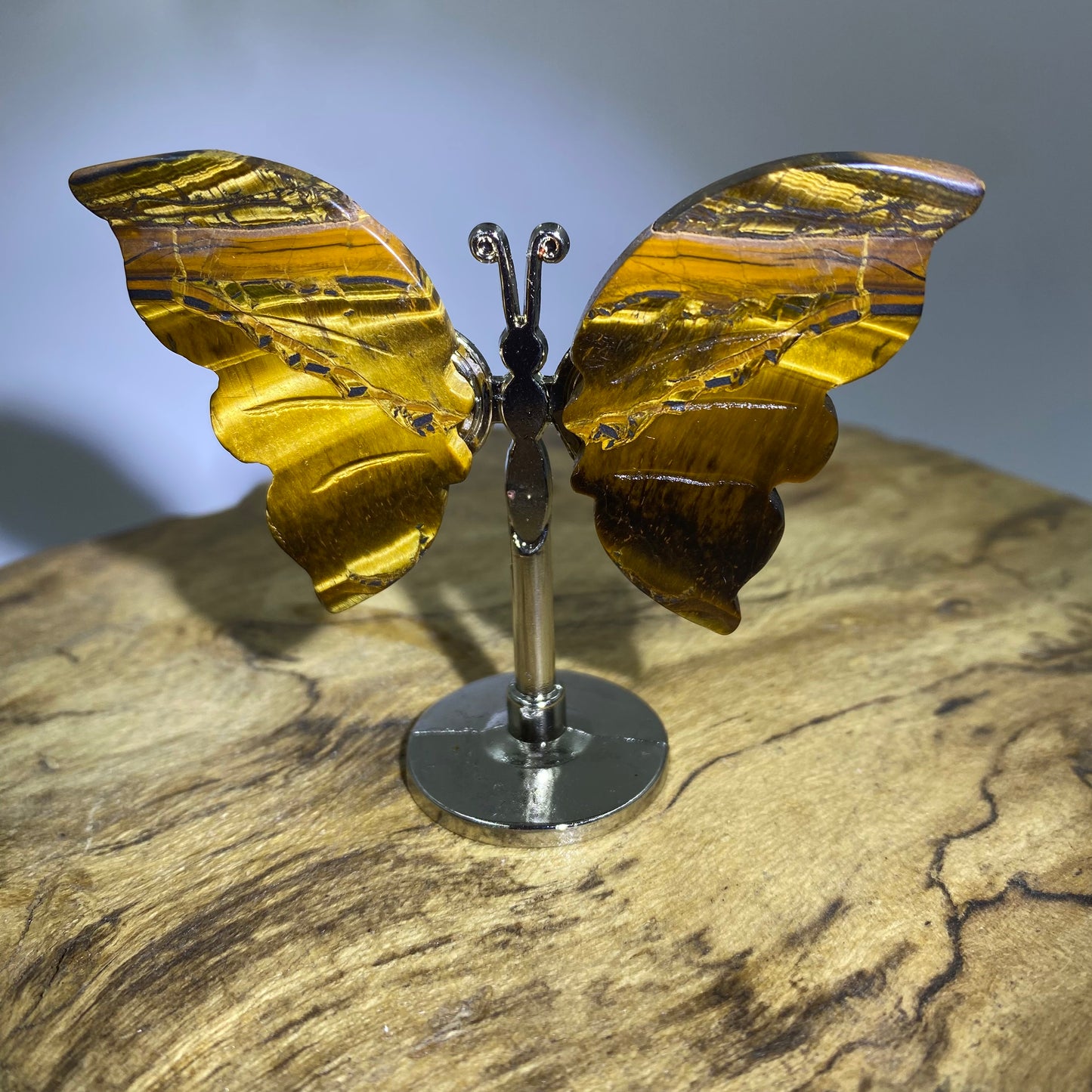 Mini Butterfly
