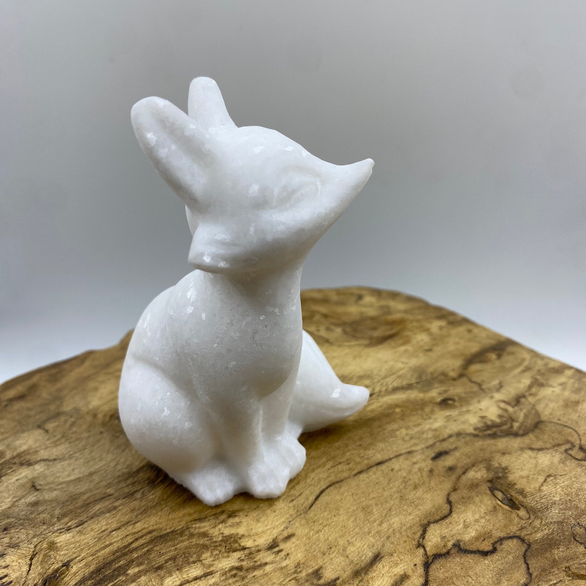 White Jade Fox 5